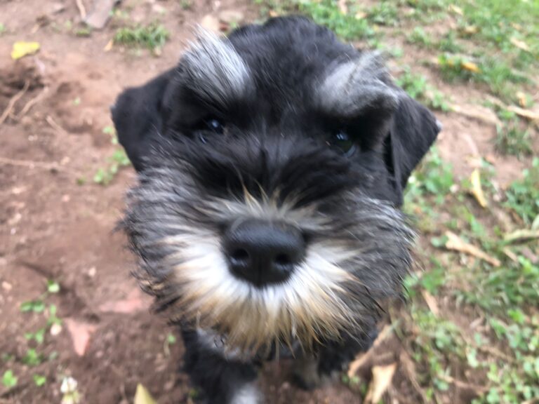 PHOTO-2025-07-13-23-03-32 (1)