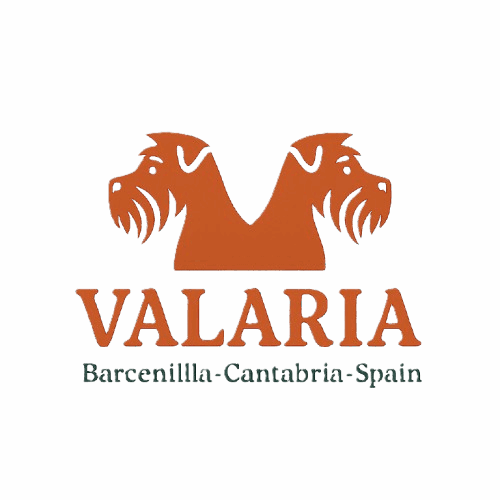Imagen de dos perros Schnauzer en color naranja