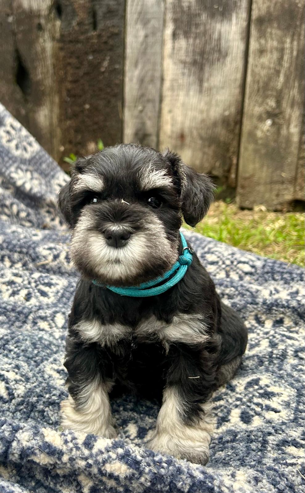 e5a11d71-c069-42bf-9ff7-139e6231ded4